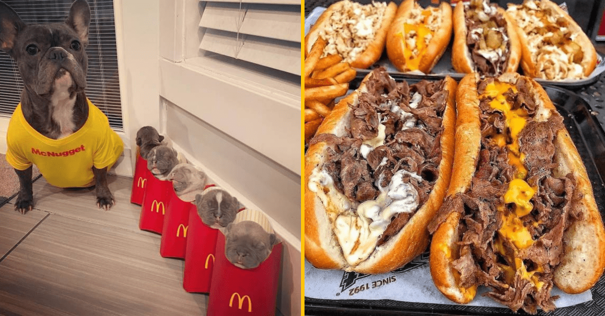 30+ Obrázkov, ktorými dokonale zabiješ čas #308