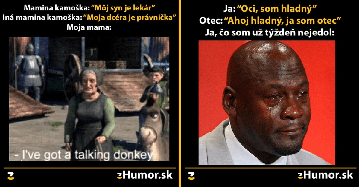 Zopár memečiek, ktoré vznikli, aby ti spríjemnili deň #1042 : Problémy s frajerkou