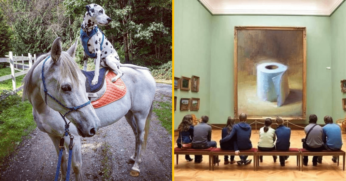 30+ Obrázkov, ktorými dokonale zabiješ čas #300