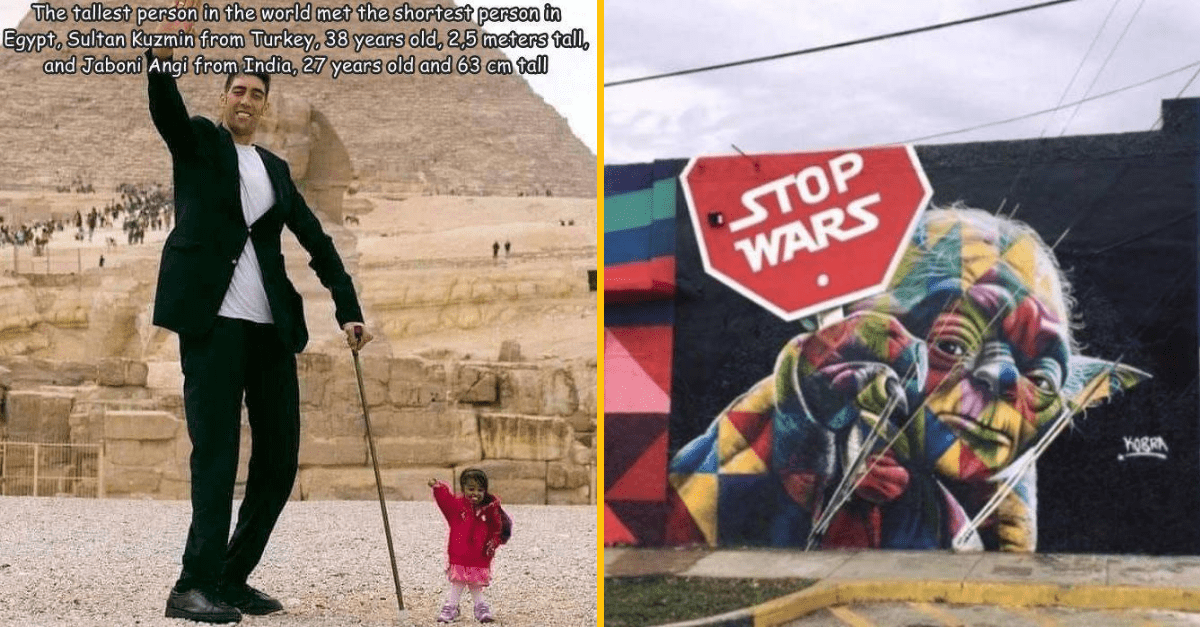 30+ Obrázkov, ktorými dokonale zabiješ čas #316