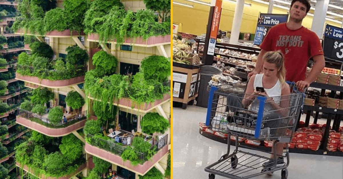 30+ Obrázkov, ktorými dokonale zabiješ čas #315