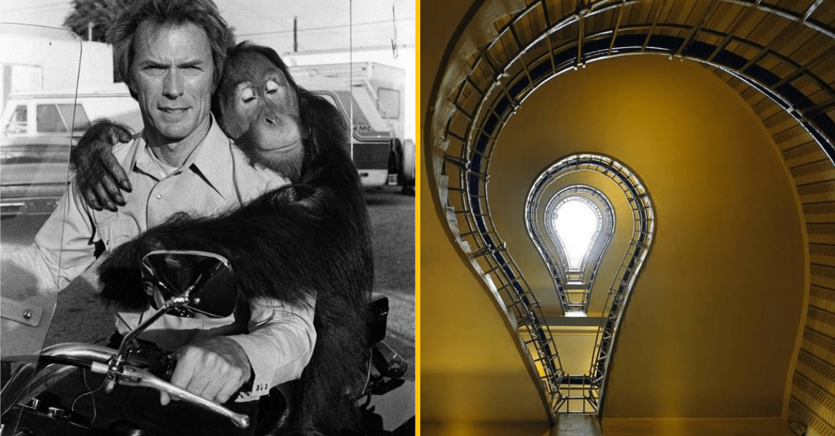 30+ Obrázkov, ktorými dokonale zabiješ čas #313