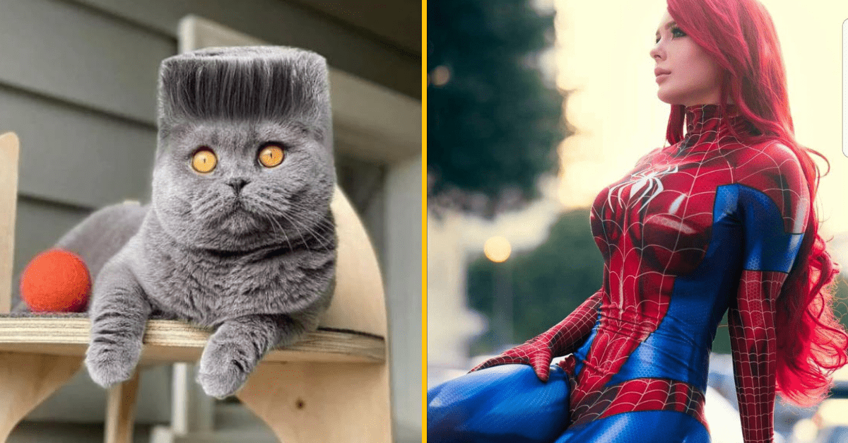 30+ Obrázkov, ktorými dokonale zabiješ čas #312