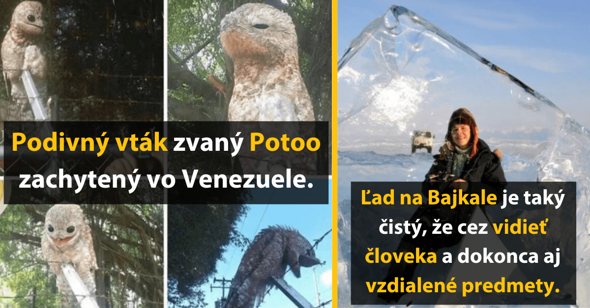 13 skvelých fotografií, ktoré vám ukáže veci, ako ste ich pravdepodobne ešte nevideli