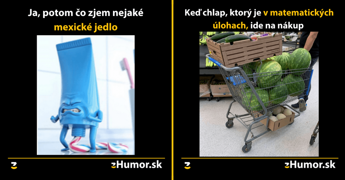 Zopár memečiek, ktoré vznikli, aby ti spríjemnili deň #1067 : Samostatný pes