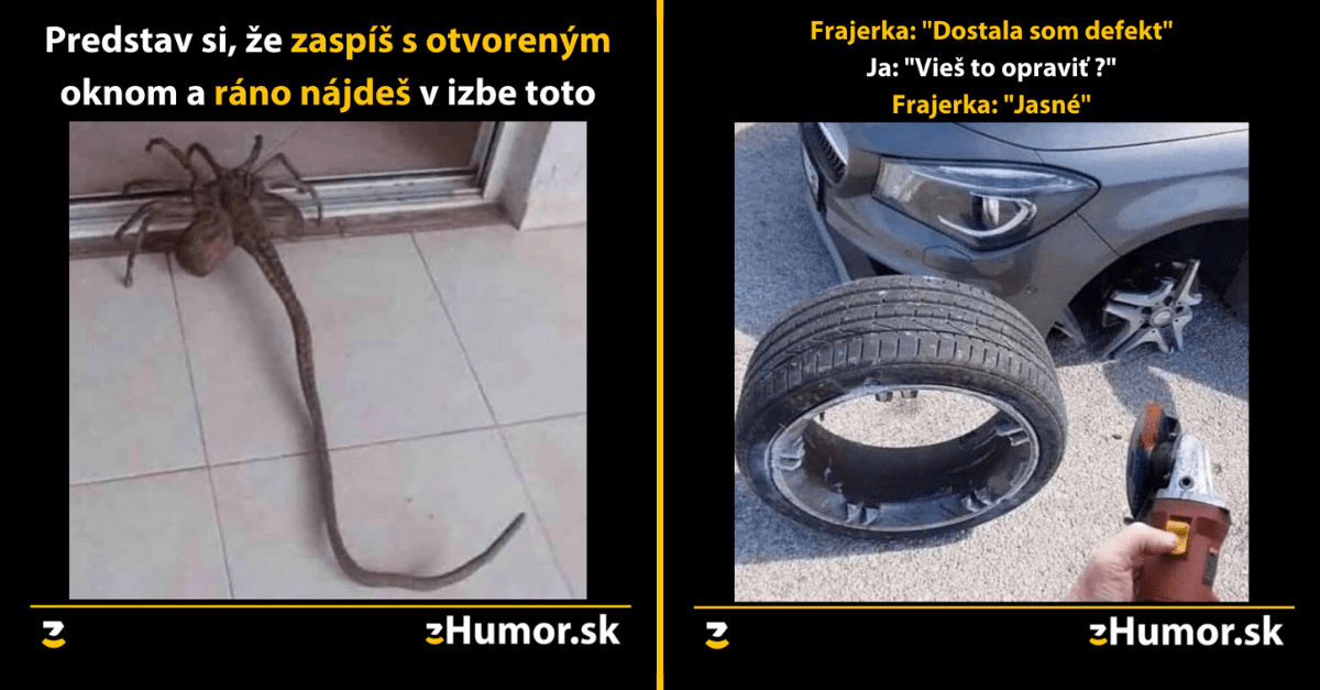 Zopár memečiek, ktoré vznikli, aby ti spríjemnili deň #1072 : Romantická večera