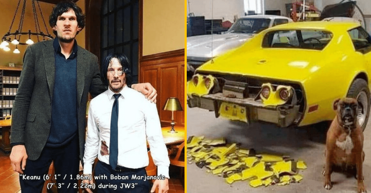 30+ Obrázkov, ktorými dokonale zabiješ čas #320