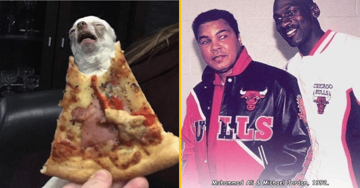 30+ Obrázkov, ktorými dokonale zabiješ čas #327