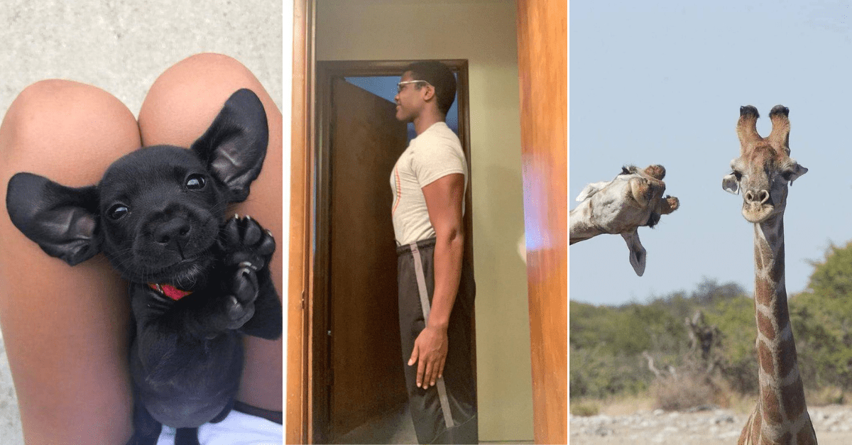 30+ Obrázkov, ktorými dokonale zabiješ čas #318