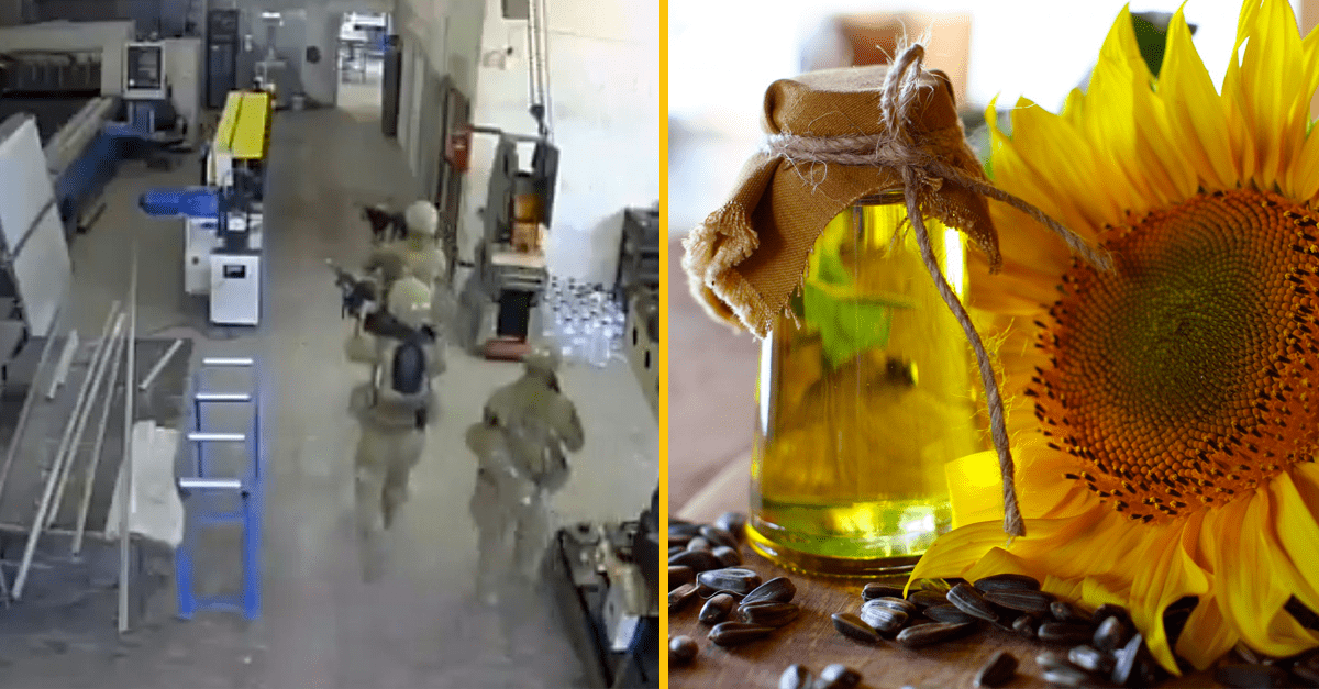 Americká armáda omylom vtrhla do továrne na slnečnicový olej. Mysleli si, že sú na letisku