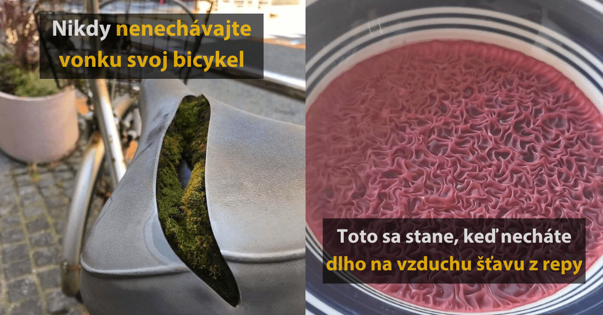 20 šokujúcich fotografií, ktoré ti trochu potrápia mozog