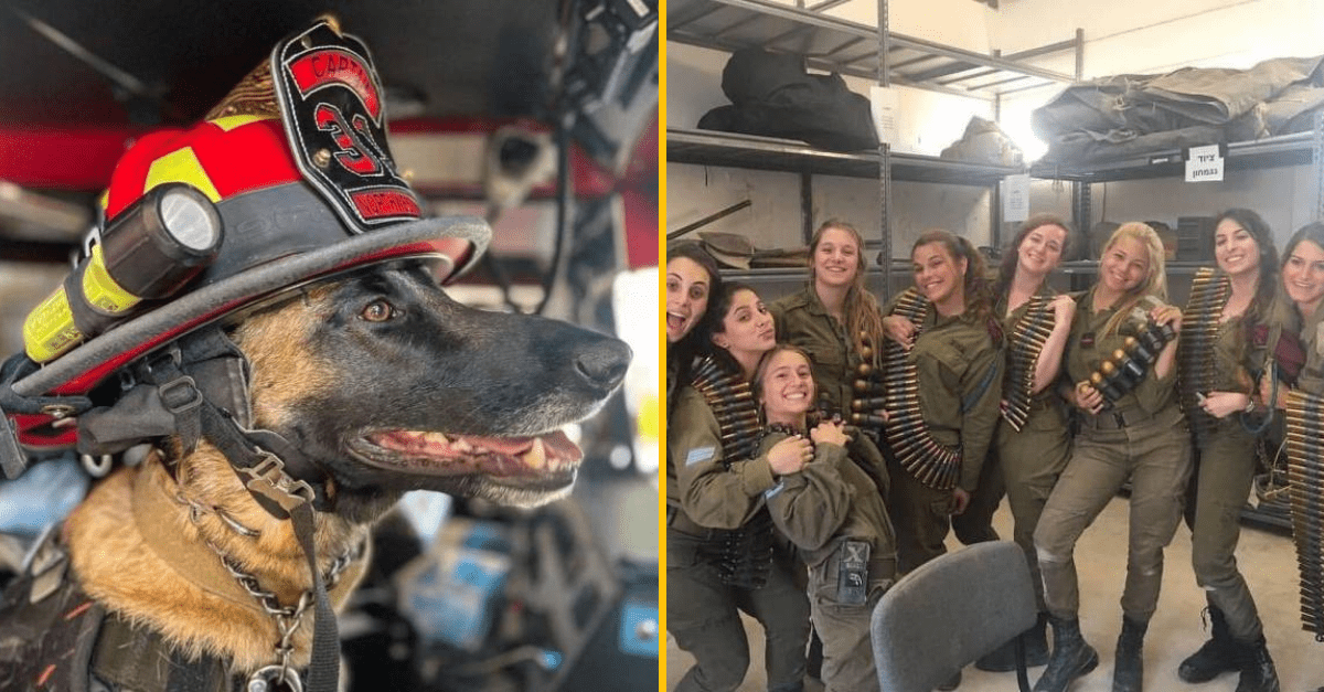 30+ Obrázkov, ktorými dokonale zabiješ čas #330