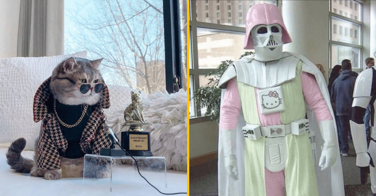 30+ Obrázkov, ktorými dokonale zabiješ čas #337