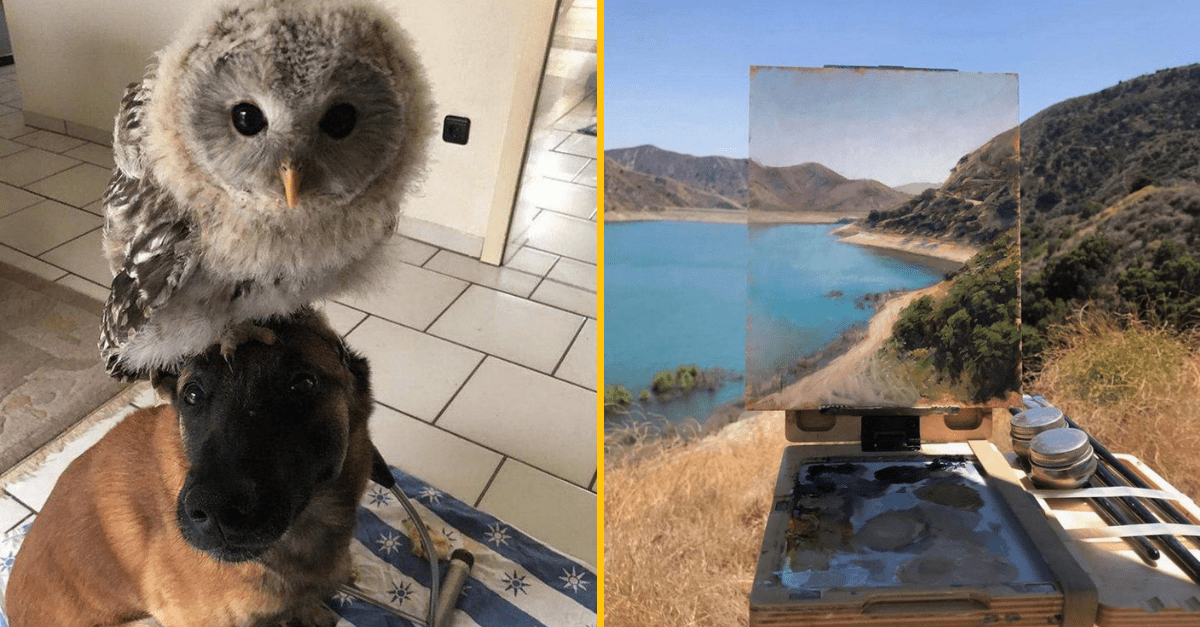 30+ Obrázkov, ktorými dokonale zabiješ čas #329