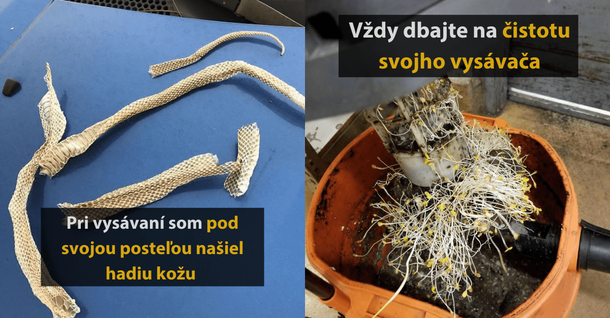 20+  komických momentov, o ktoré sa postarali robotické vysávače