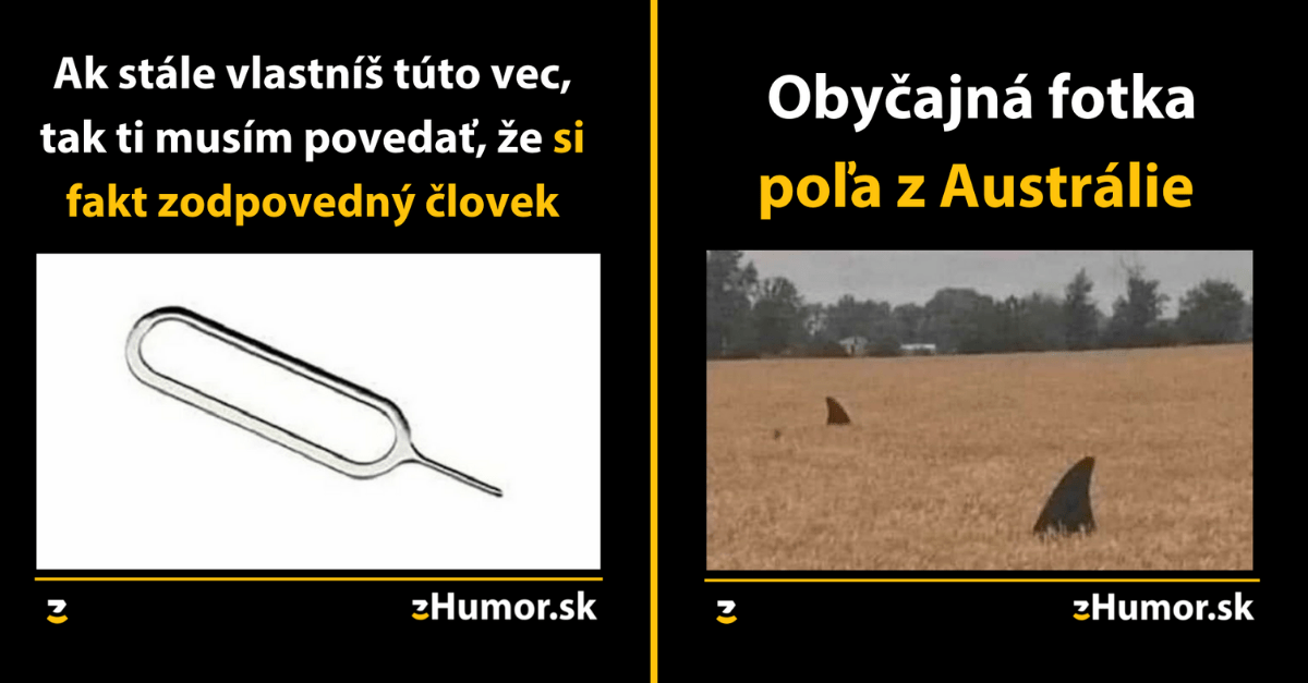 Zopár memečiek, ktoré vznikli, aby ti spríjemnili deň #1084 : Niekedy som hacker