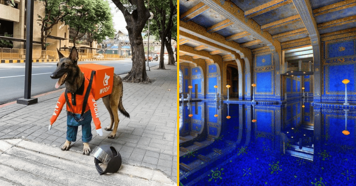 30+ Obrázkov, ktorými dokonale zabiješ čas #341