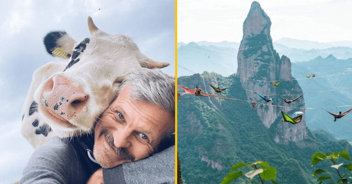 30+ Obrázkov, ktorými dokonale zabiješ čas #348