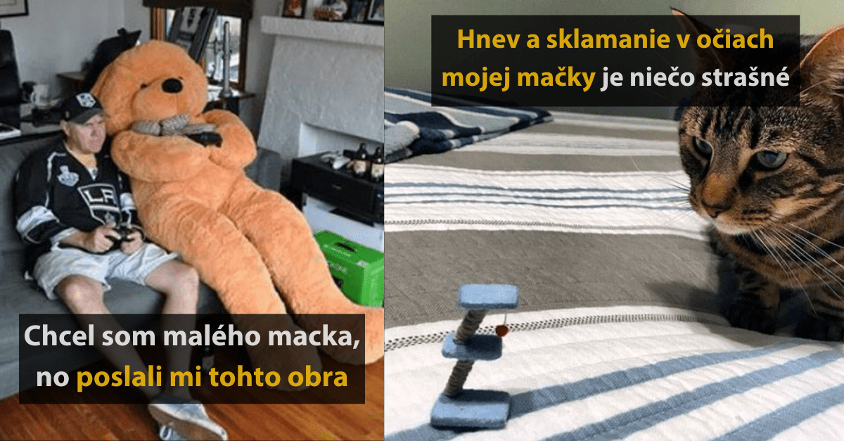 15 ľudí, ktorí sa spálili pri online nakupovaní a o svoje vtipné úlovky sa podelili na internete