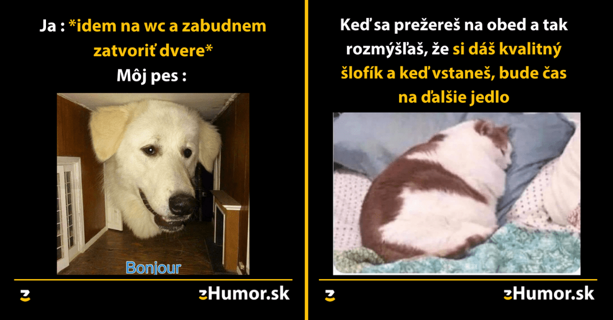 Zopár memečiek, ktoré vznikli, aby ti spríjemnili deň #1091 : Ľudia v budúcnosti budú mať zaujímavý dejepis