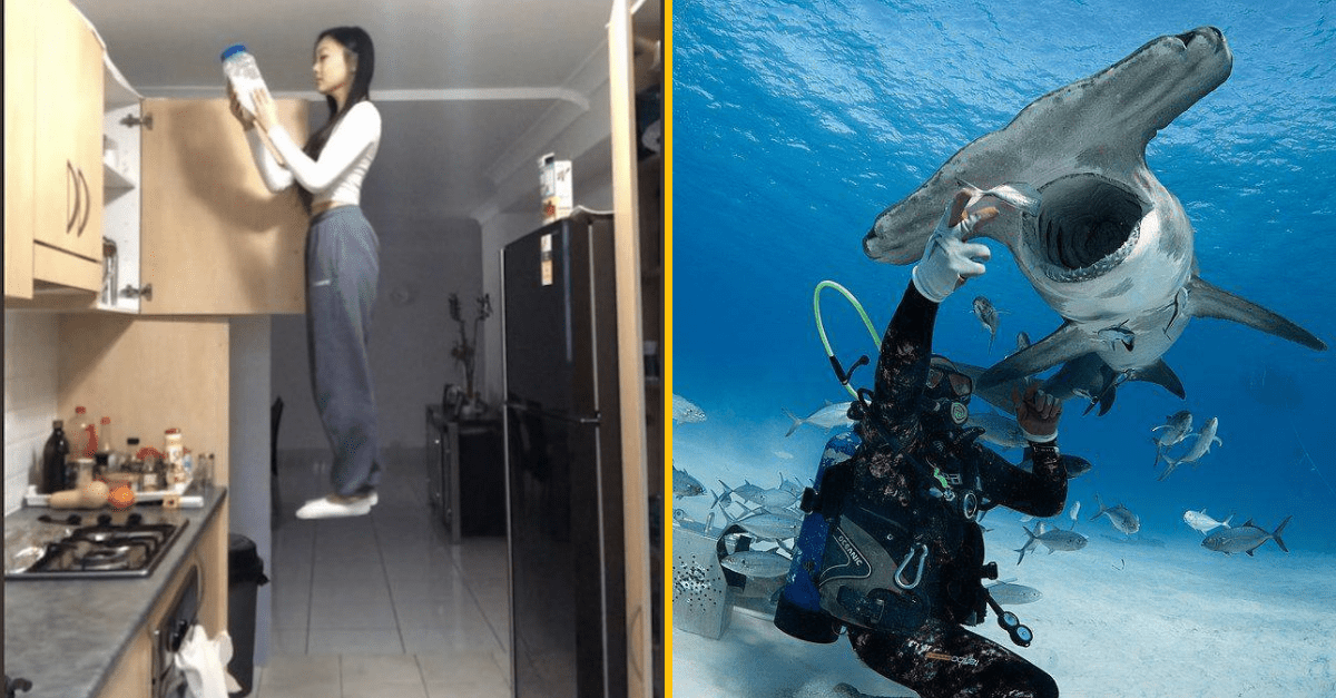 30+ Obrázkov, ktorými dokonale zabiješ čas #355 – úchvatný žralok ale aj kreatívne dizajny