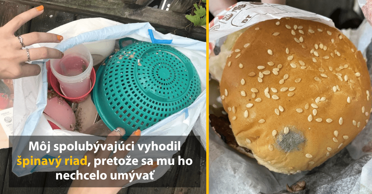 10 komických fotografií, kedy človek začína pochybovať o budúcnosti ľudstva