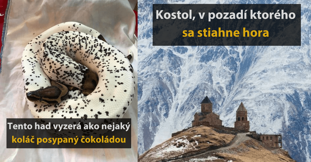 17 fascinujúcich fotografií, ktoré obohatia váš deň