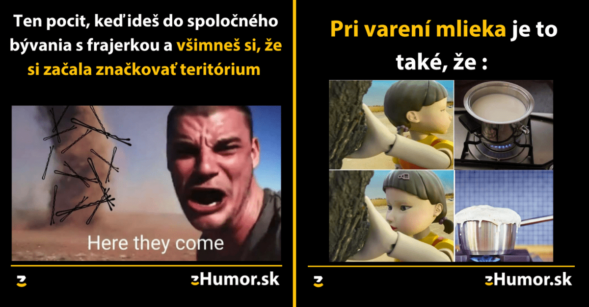 Zopár memečiek, ktoré vznikli, aby ti spríjemnili deň #1108 : Je mi jedno, čo je v menu. Ja chcem vyprážaný syr.