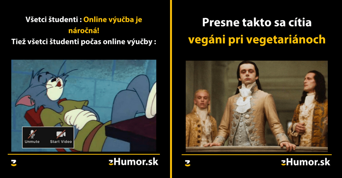 Zopár memečiek, ktoré vznikli, aby ti spríjemnili deň #1101 : Pavúk je kamoš!