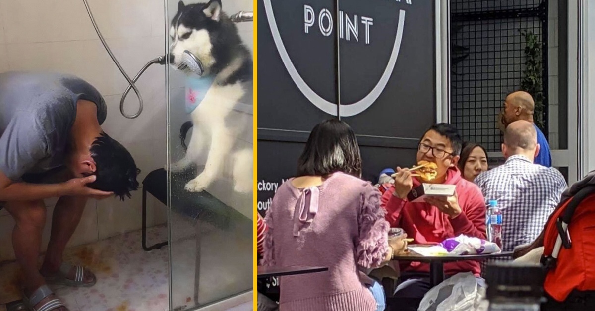 15 vtipných fotografií bez kontextu, ktoré sa zdajú byť každou sekundou divnejšie