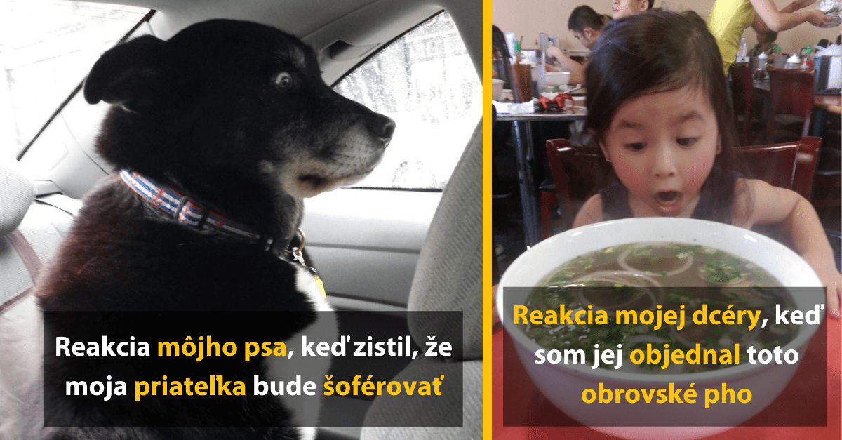 14 vtipných fotografií, ktoré sú plné emócii