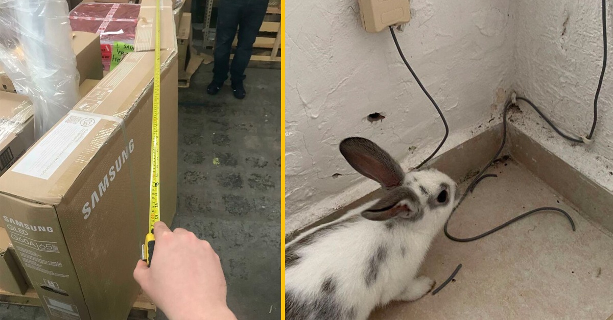 10+ bizarných fotografií, o ktoré sa podelili pracovníci technickej podpory