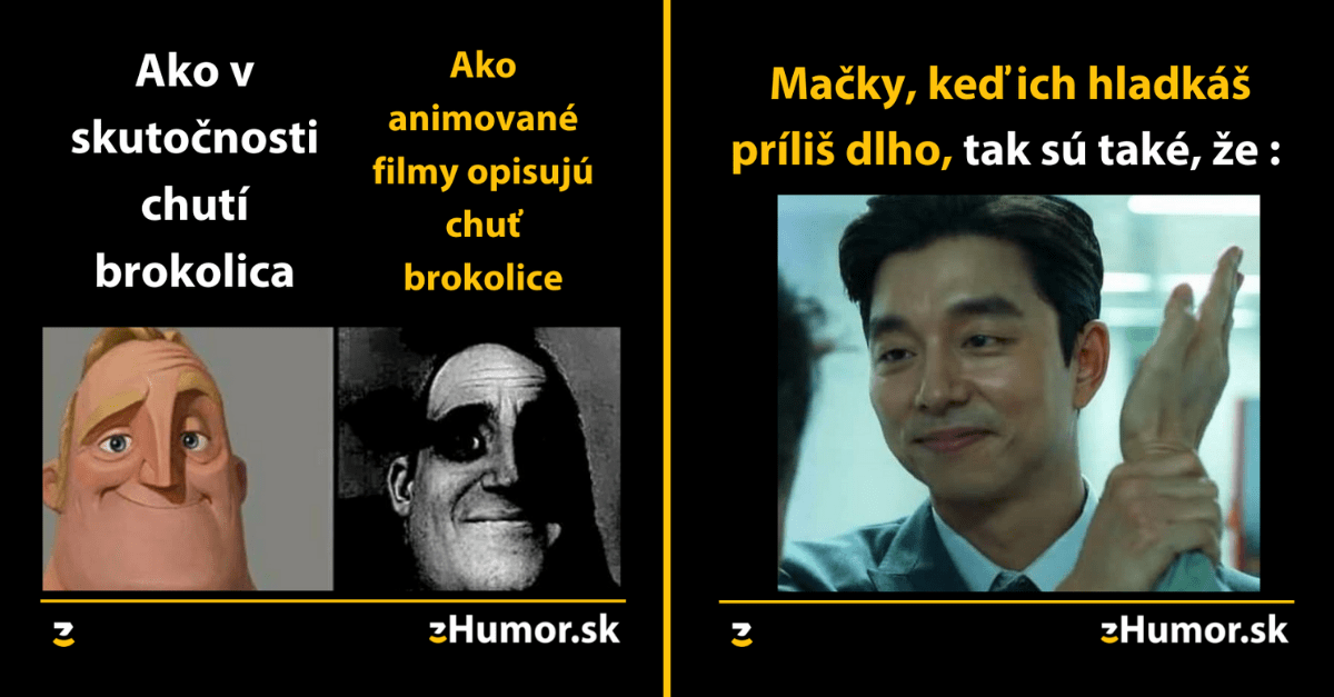 Zopár memečiek, ktoré vznikli, aby ti spríjemnili deň #1148 : Ako si predstavujem lásku na celý život.