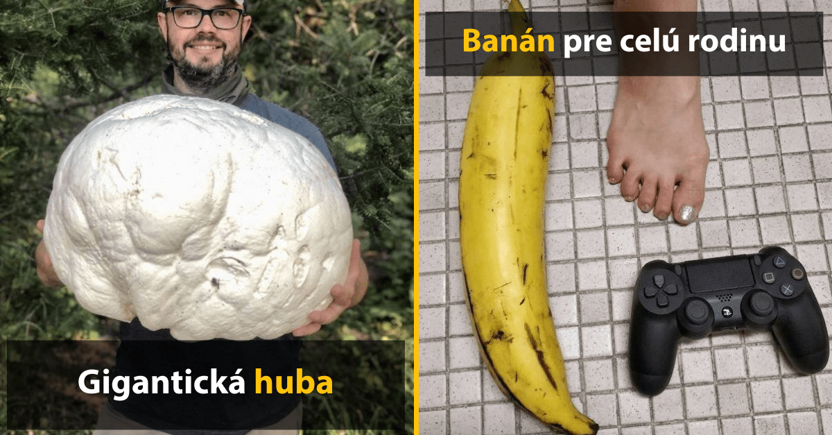 30 fotografií gigantických veci, ktoré len tak neuvidíte