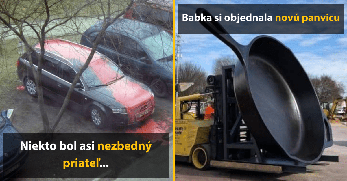 30+ Obrázkov, ktorými dokonale zabiješ čas #386 – nezvyčajný nábytok, fascinujúce maľby ale aj niečo pre milovníkov psov