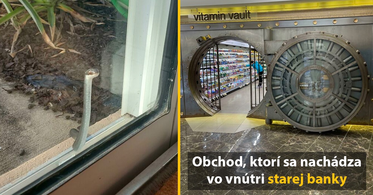 10+ náhodných a fascinujúcich fotografií, ktoré dneš potrebuješ vidieť