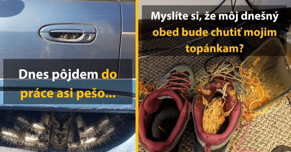 10 fotografií od ľudí, ktorým sa dnes vesmír otočil chrbtom