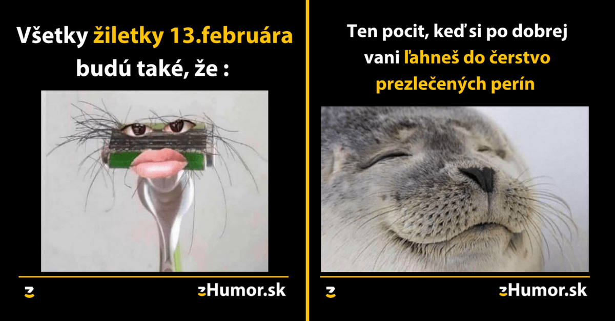 Zopár memečiek, ktoré vznikli, aby ti spríjemnili deň #1156 : Milujem videá bez reklamy.