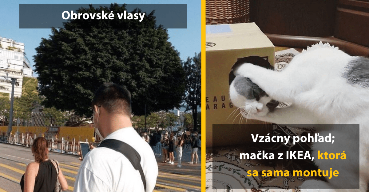 14 fotografií, ktoré dokazujú, že správne načasovanie môže vytvoriť majstrovské dielo