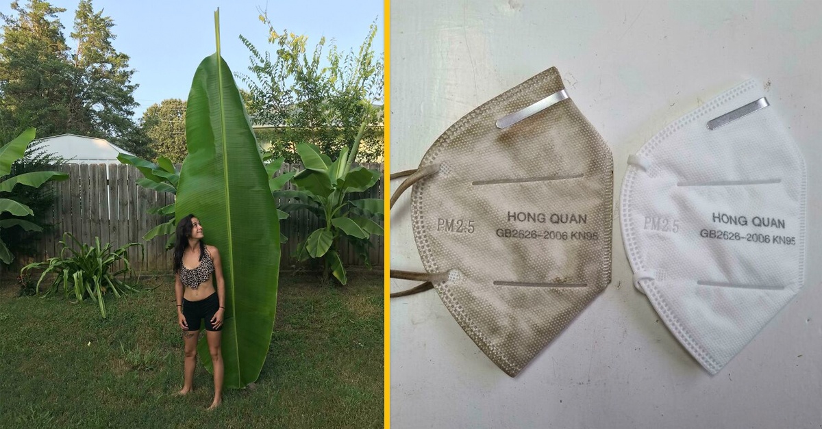 10+ dychvyrážajúcich porovnaní, ktoré ti zaručene rozšíria obzory