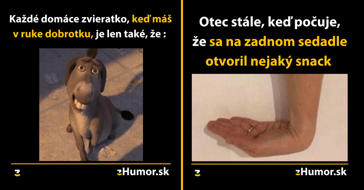 Zopár memečiek, ktoré vznikli, aby ti spríjemnili deň #1181 : Bojím sa byť úprimný k barberovi.