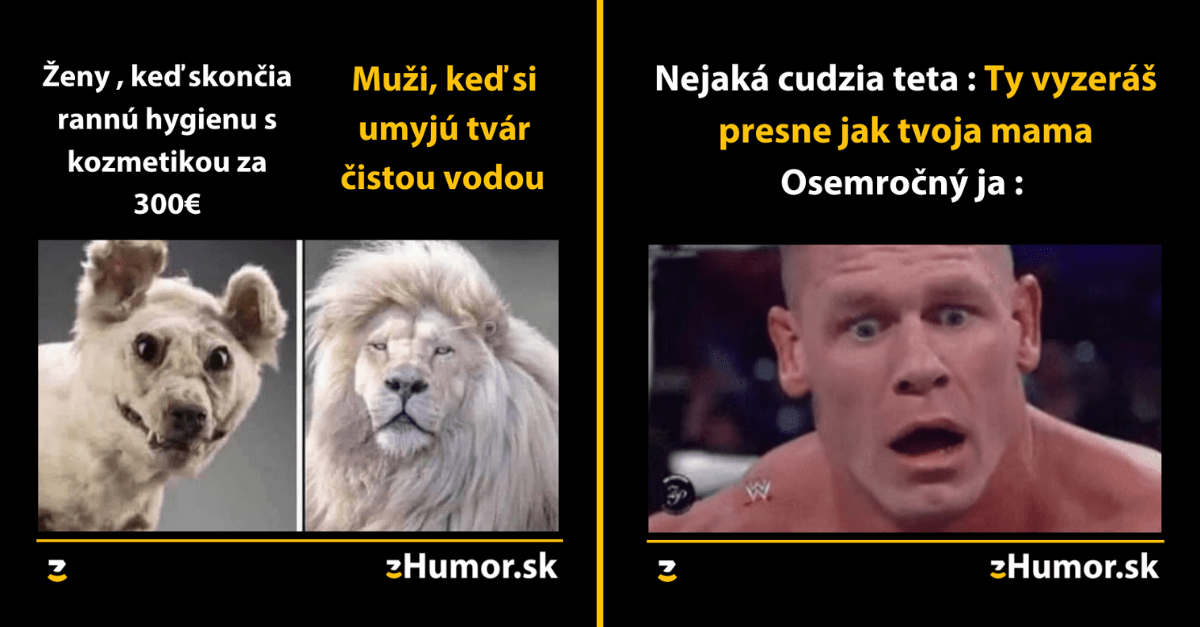 Zopár memečiek, ktoré vznikli, aby ti spríjemnili deň #1184 : Všetko na počítači ukladám dvakrát.