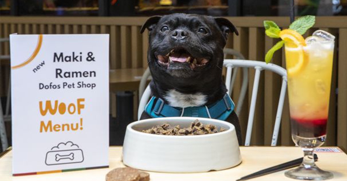 Japonská reštaurácia spúšťa menu pre psov. Najesť sa budú môcť so svojimi majiteľmi