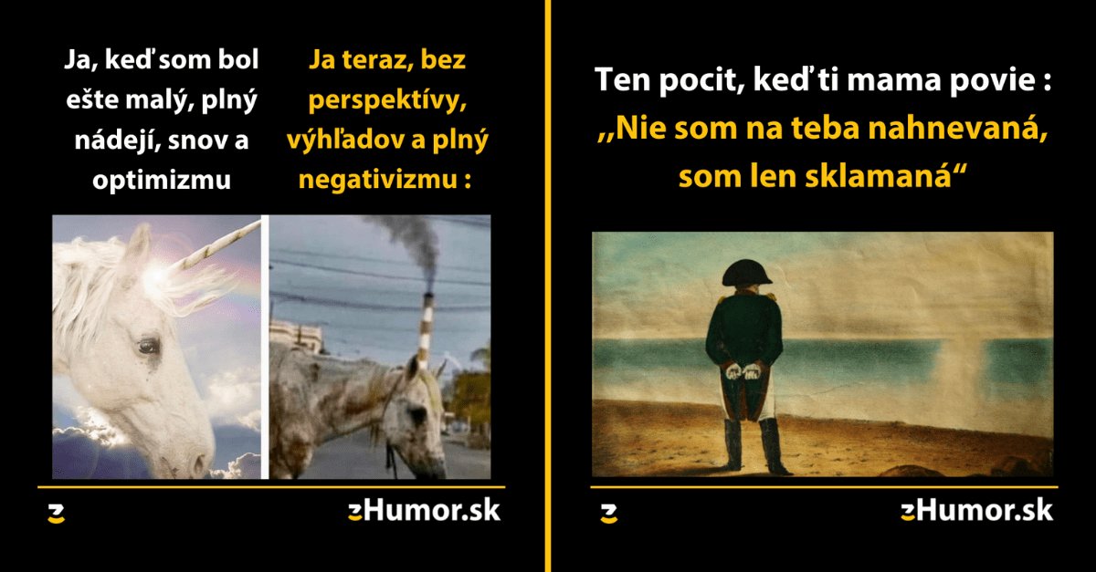 Zopár memečiek, ktoré vznikli, aby ti spríjemnili deň #1195 : Za svoj krátky život som už zažil toho dosť.