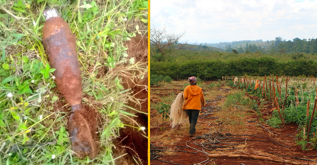 Farmári z Keni si pomýlili delostrelecký granát so zeleninou