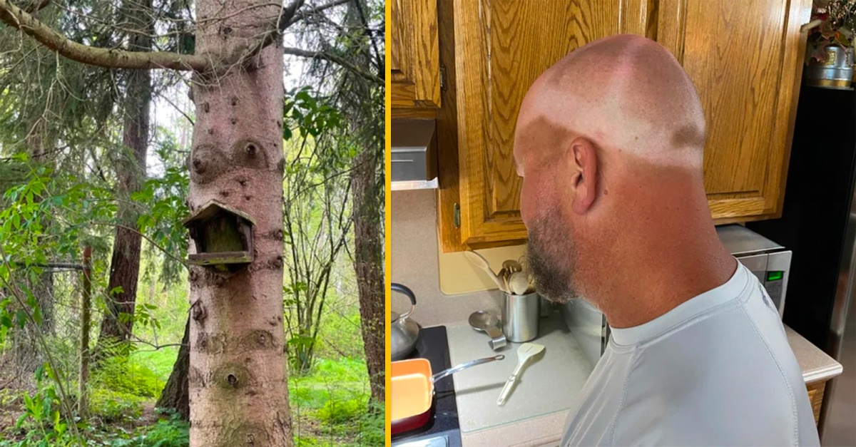 10+ vtipných fotografií, ktoré ti ukážu, že život netreba brať až príliš vážne