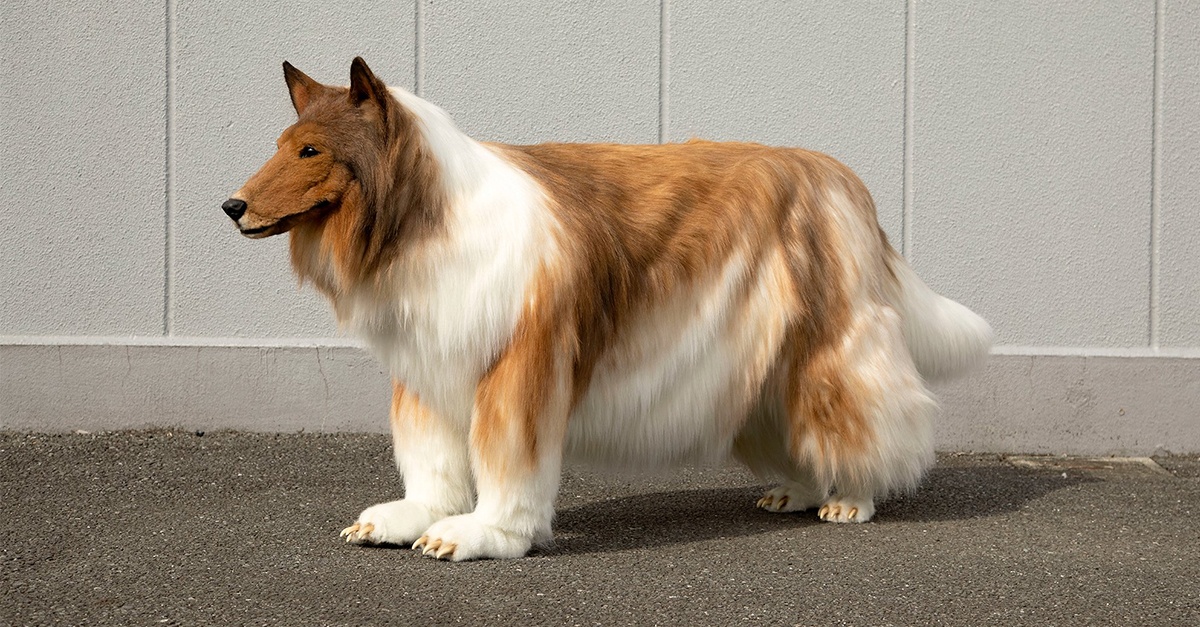 Japonec sa rozhodol pre život v kostýme psa. Zaplatil zaň takmer 15-tisíc eur