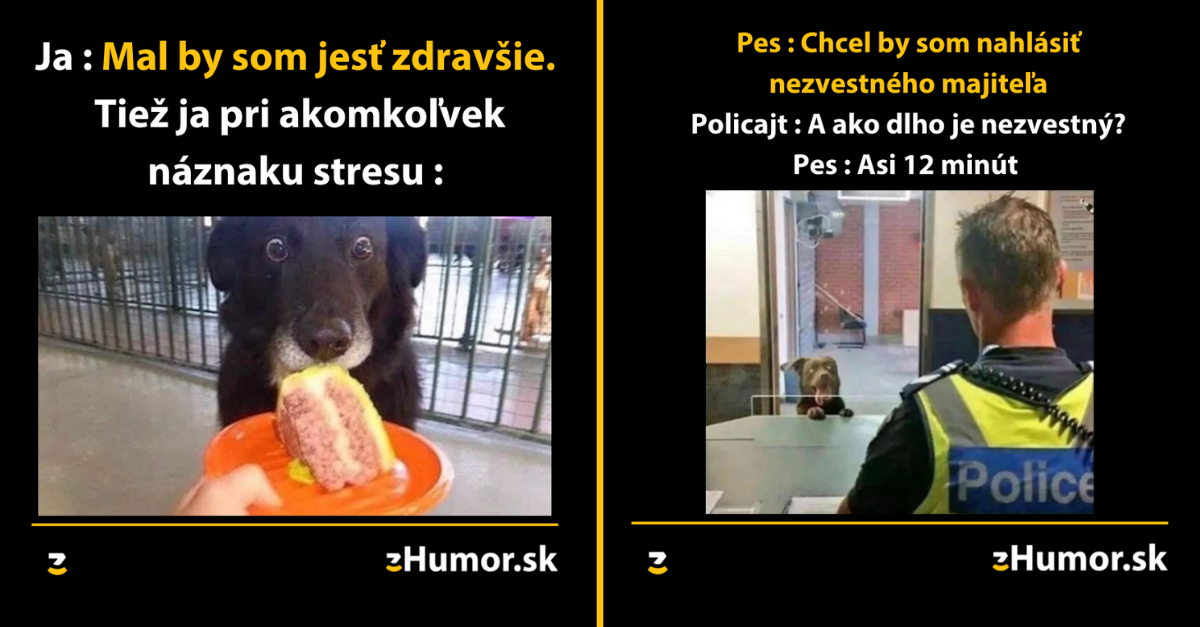 Zopár memečiek, ktoré vznikli, aby ti spríjemnili deň #1210 : Všetci sme tak trochu introverti.