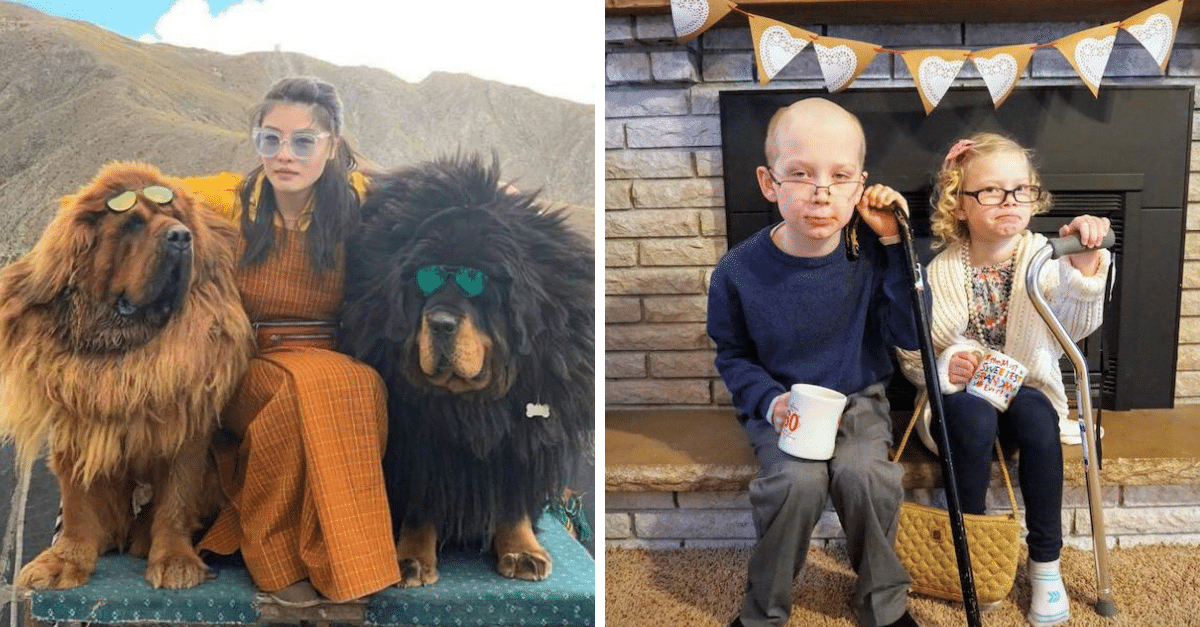 30+ Obrázkov, ktorými dokonale zabiješ čas #413 – Jedinečné zábradlie na schodisku ale aj halucinogénna toaleta