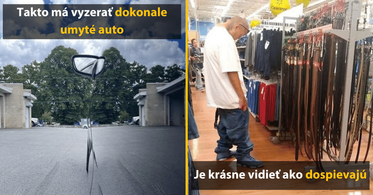 30+ Obrázkov, ktorými dokonale zabiješ čas #414 – Obrovský pes ale aj dokonalý dizajn obalu na pečivo